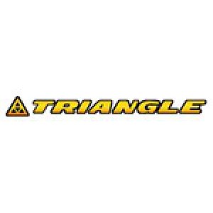 Triangle group